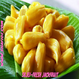 SBJEI-FRESH JACKFRUIT